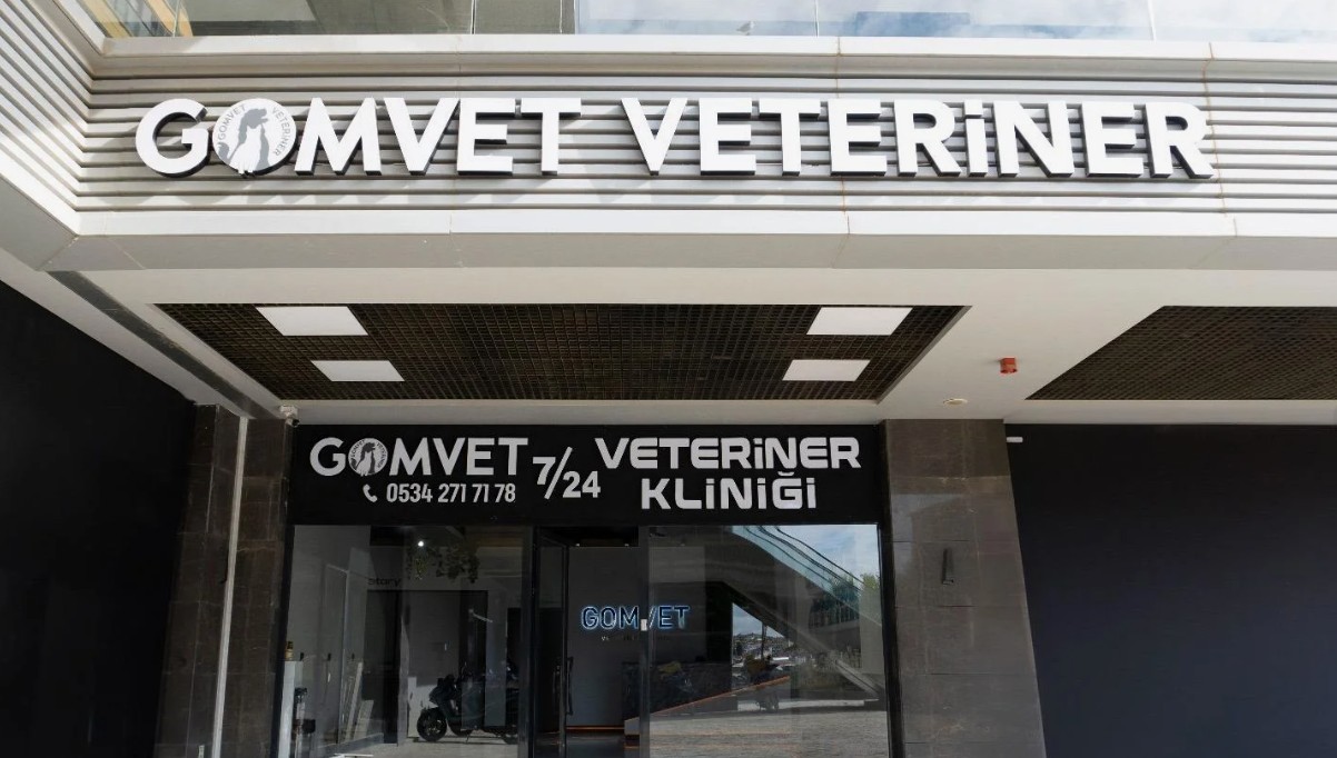 Veteriner Kutu Harf Tabel
